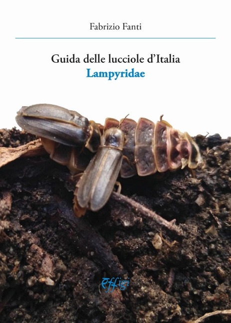 Guida delle lucciole d'Italia lampyridae - Fabrizio Fanti