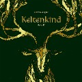 Cover-Bild zum Titel 'Keltenkind' von 'Steffen Ziegler'