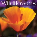 Wildflowers 2024 12 X 12 Wall Calendar - Willow Creek Press
