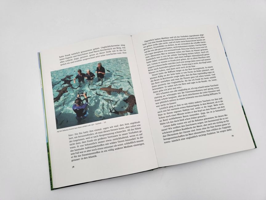 InsideView 4