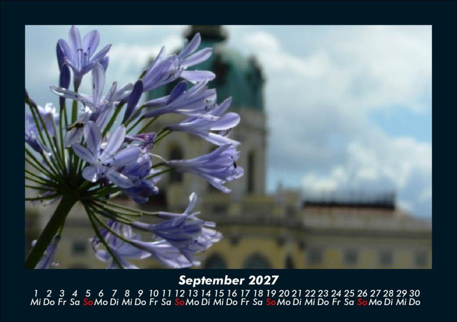 InsideView 1