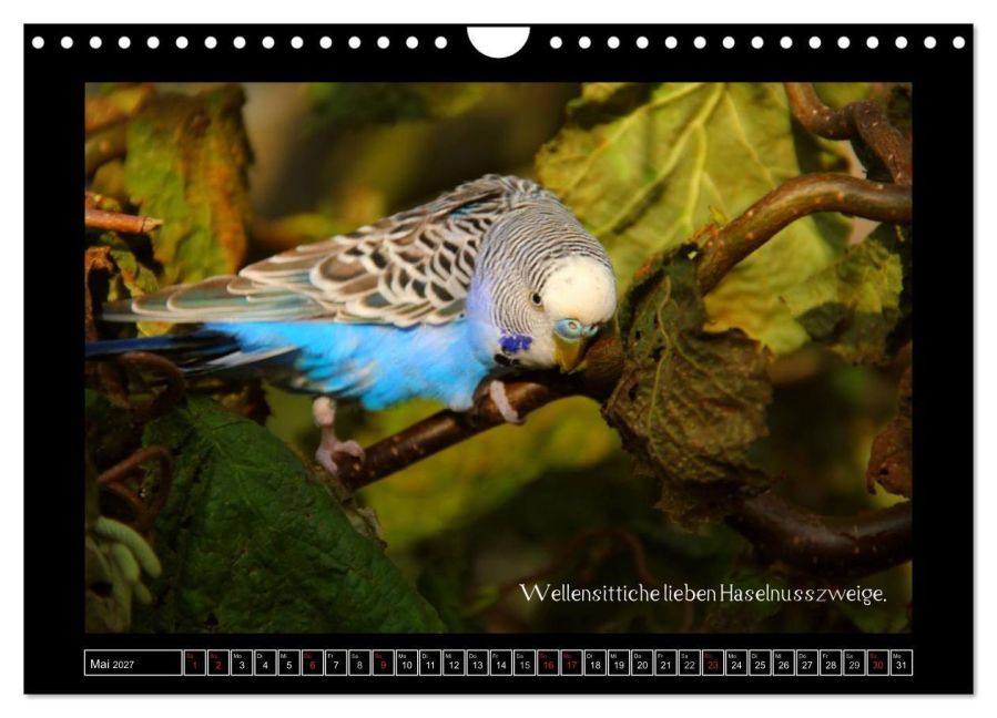 InsideView 10