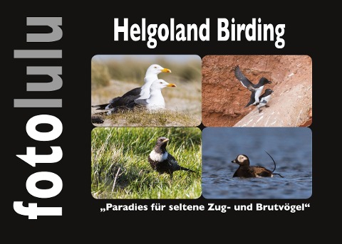 Helgoland Birding - Sr. Fotolulu