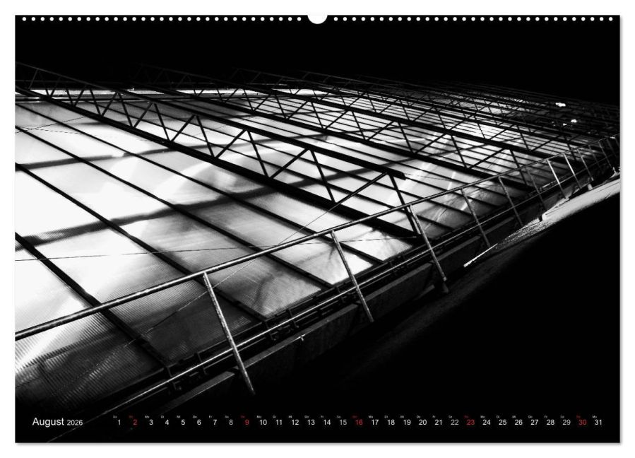 InsideView 12
