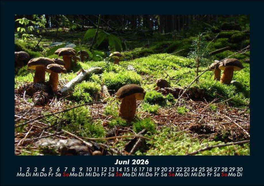 InsideView 10