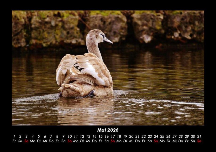 InsideView 9
