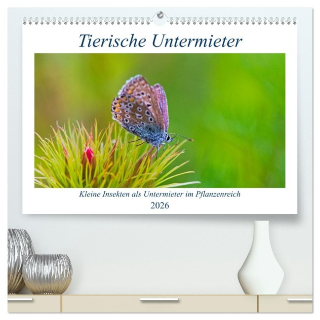 Tierische Untermieter (hochwertiger Premium Wandkalender 2026 DIN A2 quer), Kunstdruck in Hochglanz - Clemens Stenner