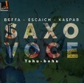 Cover-Bild zum Titel 'Tohu-Bohu' von 'Ensemble SaxoVoice'