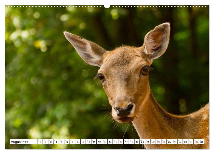 InsideView 13