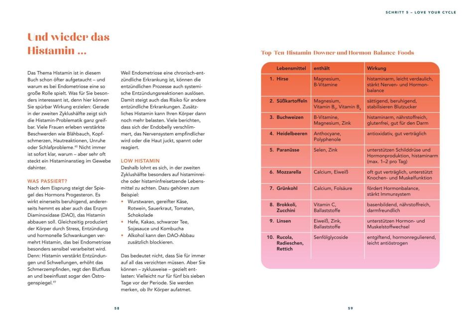 InsideView 6