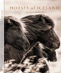 Horses of Iceland - Guadalupe Laiz