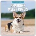 Pembroke Welsh Corgis - Pembroke Welsh Corgi 2025 - 16-Monatskalender - 