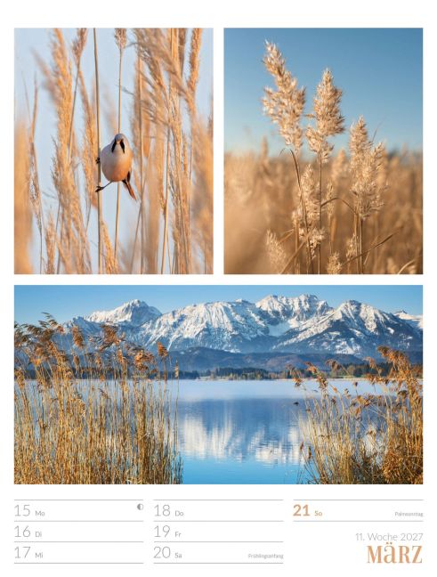 InsideView 15