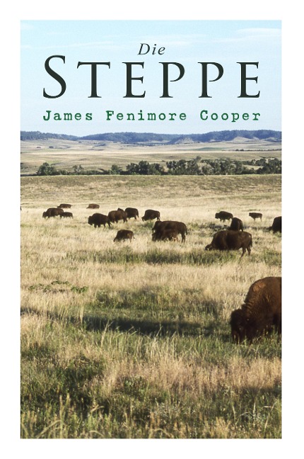 Die Steppe - James Fenimore Cooper