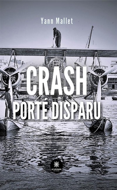 Crash - Yann Mallet