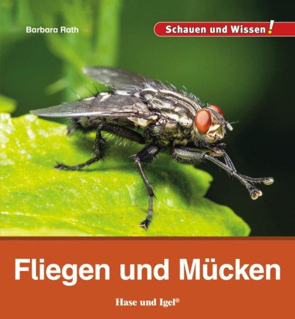 Fliegen und Mücken - Barbara Rath