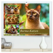 Cover-Bild zum Titel 'Burma-Katzen. Ausstrahlung und Anmut der faszinierenden Samtpfoten (hochwertiger Premium Wandkalender 2026 DIN A2 quer), Kunstdruck in Hochglanz' von 'Rose Hurley'