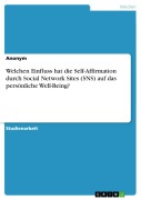 Cover-Bild zum Titel 'Welchen Einfluss hat die Self-Affirmation durch Social Network Sites (SNS) auf das persönliche Well-Being?' von ''