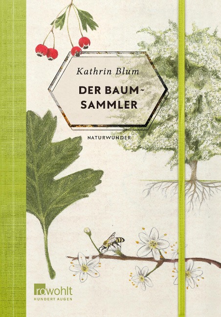 Der Baumsammler - Kathrin Blum