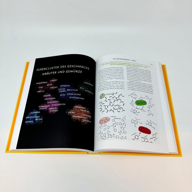 InsideView 4