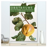 Obstbäume: Botanische Zeichnungen und historische Stiche (hochwertiger Premium Wandkalender 2026 DIN A2 hoch), Kunstdruck in Hochglanz - Calvendo Calvendo