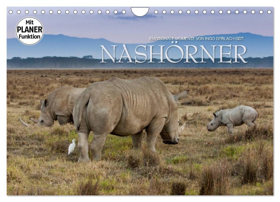 Emotionale Momente: Nashörner (Wandkalender 2026 DIN A4 quer), CALVENDO Monatskalender - Ingo Gerlach GDT