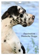 Cover-Bild zum Titel 'Faszination Deutsche Dogge (Wandkalender 2026 DIN A4 hoch), CALVENDO Monatskalender' von 'Marion Reiß-Seibert'
