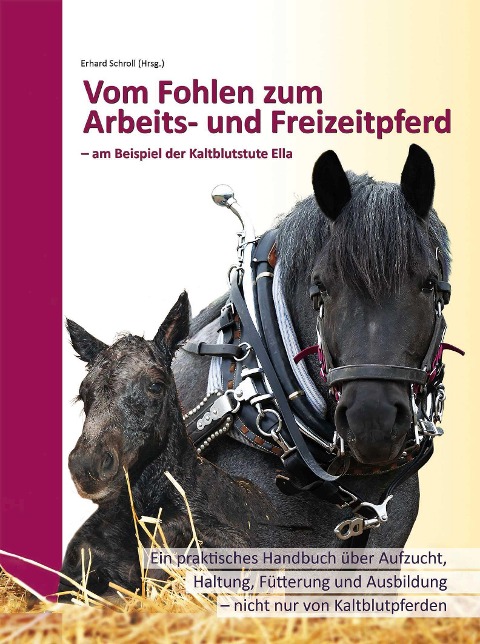 Vom Fohlen zum Arbeits- und Freizeitpferd - 