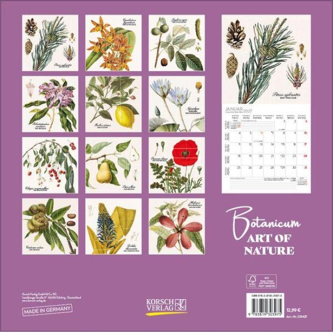 InsideView 13