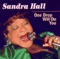 Cover-Bild zum Titel 'One Drop will Do You' von 'Sandra Hall'