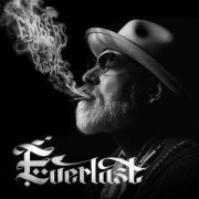 Cover-Bild zum Titel 'Embers to Ashes' von 'Everlast'