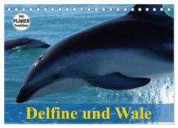 Delfine und Wale (Tischkalender 2026 DIN A5 quer), CALVENDO Monatskalender - Elisabeth Stanzer