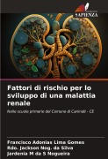Cover-Bild zum Titel 'Fattori di rischio per lo sviluppo di una malattia renale' von 'Francisco Adonias Lima Gomes, Rdo. Jackson Nog. da Silva, Jardenia M da S Nogueira'