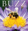 Cover-Bild zum Titel 'Buzz' von 'Adam Langstroth'