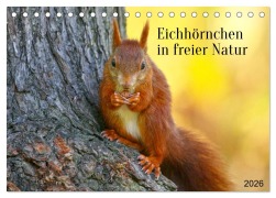 Cover-Bild zum Titel 'Eichhörnchen in freier Natur (Tischkalender 2026 DIN A5 quer), CALVENDO Monatskalender' von 'SchnelleWelten SchnelleWelten'