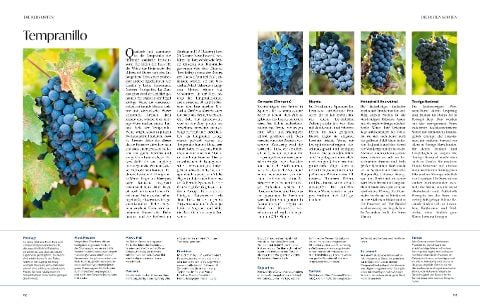 InsideView 7
