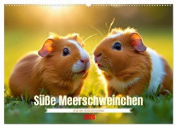 Cover-Bild zum Titel 'Süße Meerschweinchen (Wandkalender 2026 DIN A2 quer), CALVENDO Monatskalender' von 'Torsten Irmer'