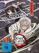 Cover-Bild zum Titel 'Demon Slayer: Kimetsu no Yaiba Hashira Training Arc - Vol.1 - [DVD]' von ''