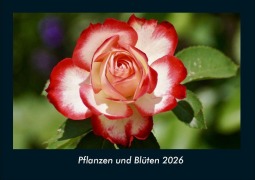 Cover-Bild zum Titel 'Pflanzen und Blüten 2026 Fotokalender DIN A4' von 'Tobias Becker'