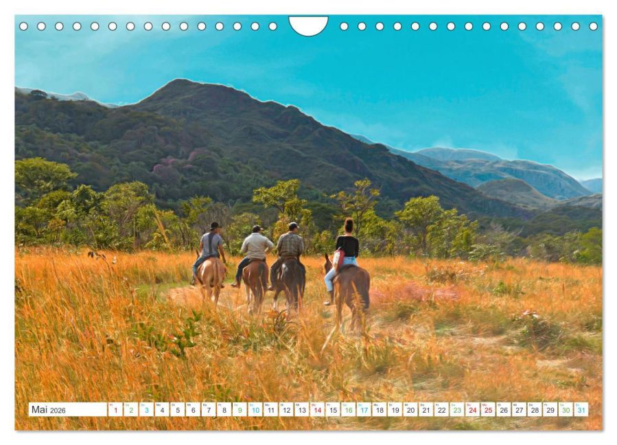 InsideView 10
