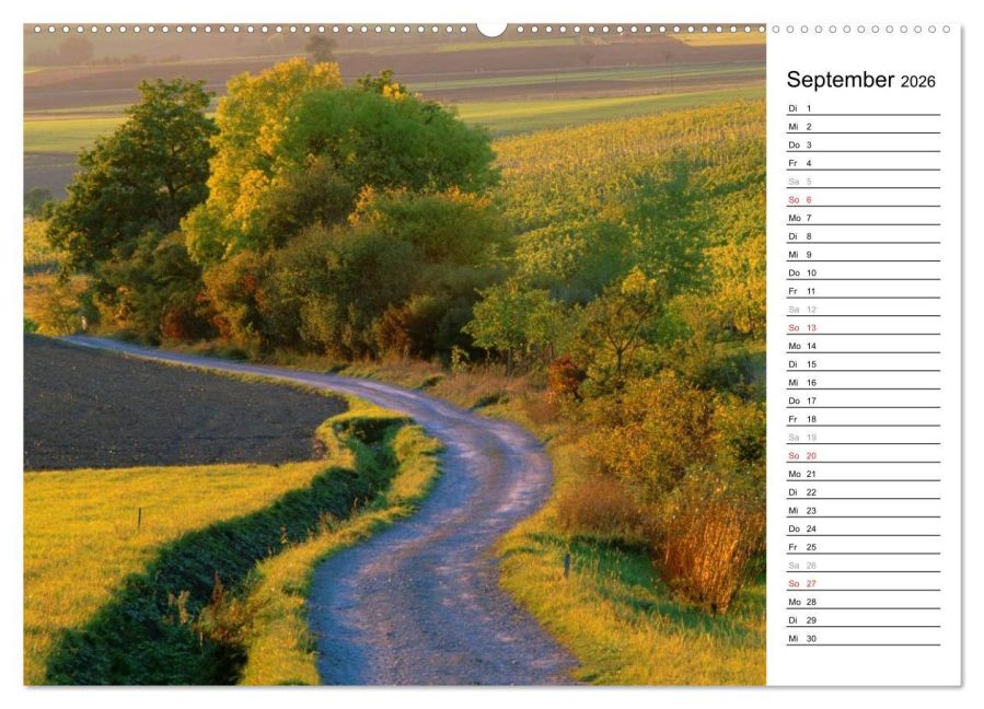 InsideView 14