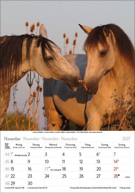 InsideView 11
