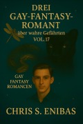 Cover-Bild zum Titel 'Drei Gay Fantasy Romane über wahre Gefährten Vol. 17' von 'Enibas Chris S.'