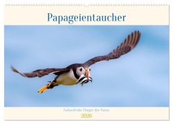 Cover-Bild zum Titel 'Papageientaucher - Farbenfrohe Flieger der Natur (Wandkalender 2026 DIN A2 quer), CALVENDO Monatskalender' von 'Ellenlichtenheldt Ellenlichtenheldt'