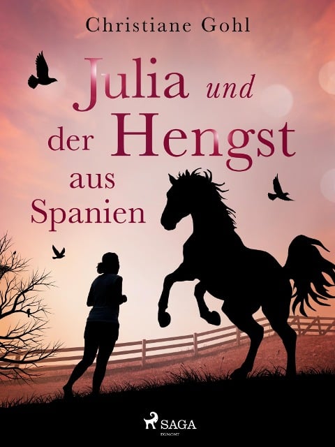 Julia und der Hengst aus Spanien - Christiane Gohl