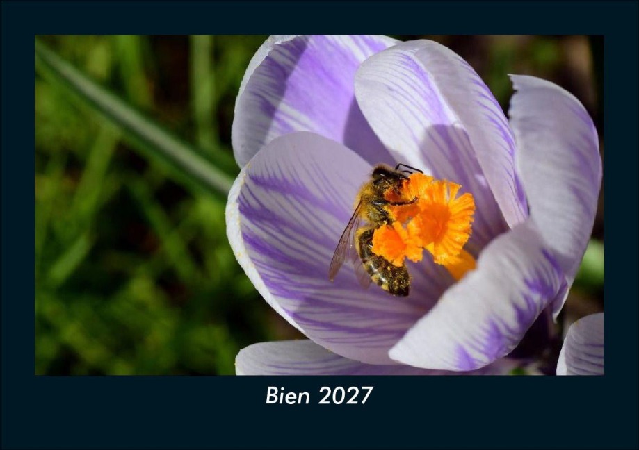 Bien 2027 Fotokalender DIN A5 - Tobias Schmitt, Kevin Heber