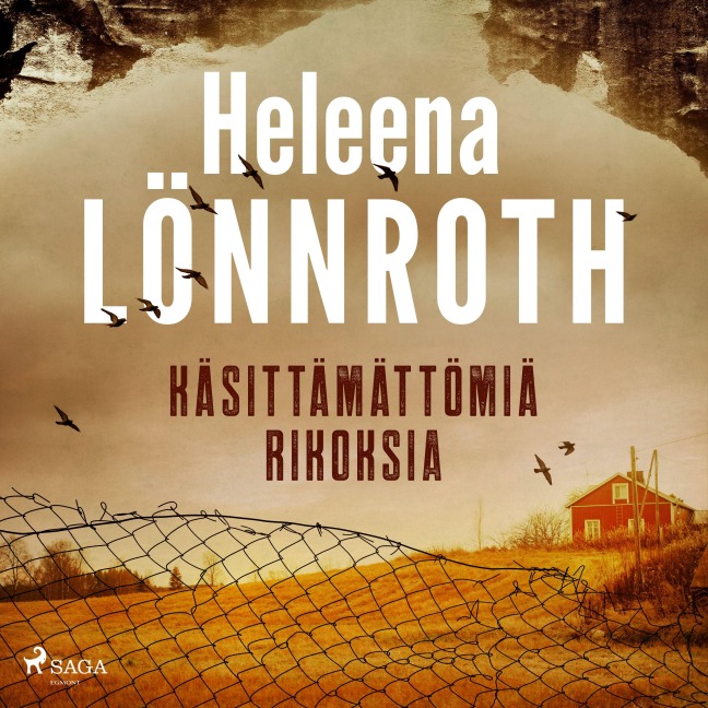 Käsittämättömiä rikoksia - Heleena Lönnroth