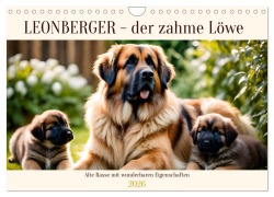 Cover-Bild zum Titel 'Leonberger - der zahme Löwe (Wandkalender 2026 DIN A4 quer), CALVENDO Monatskalender' von 'Claudia Kleemann'