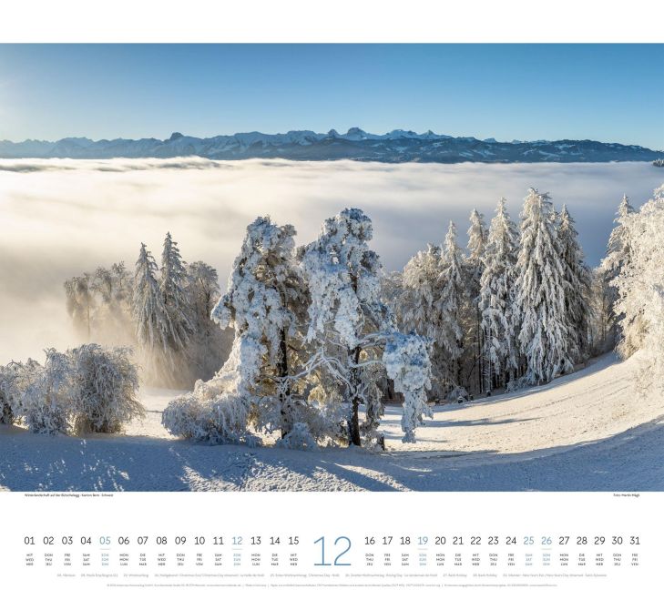 InsideView 12