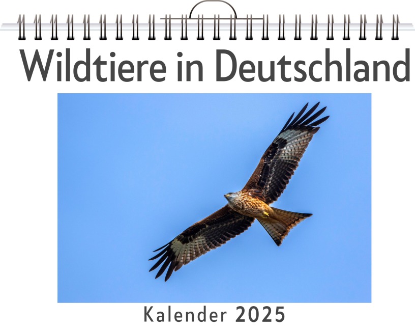 Wildtiere in Deutschland - (Wandkalender 2025, Kalender DIN A4 quer, Monatskalender im Querformat mit Kalendarium, das perfekte Geschenk) - Max Herrmann
